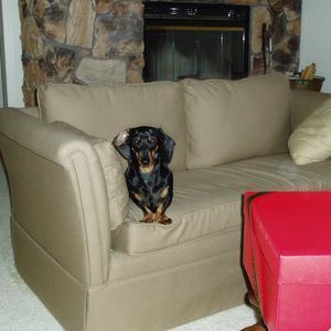 Meet your Posher, Phyllis